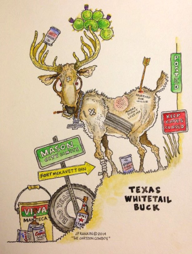 Texas Whitetail Deer