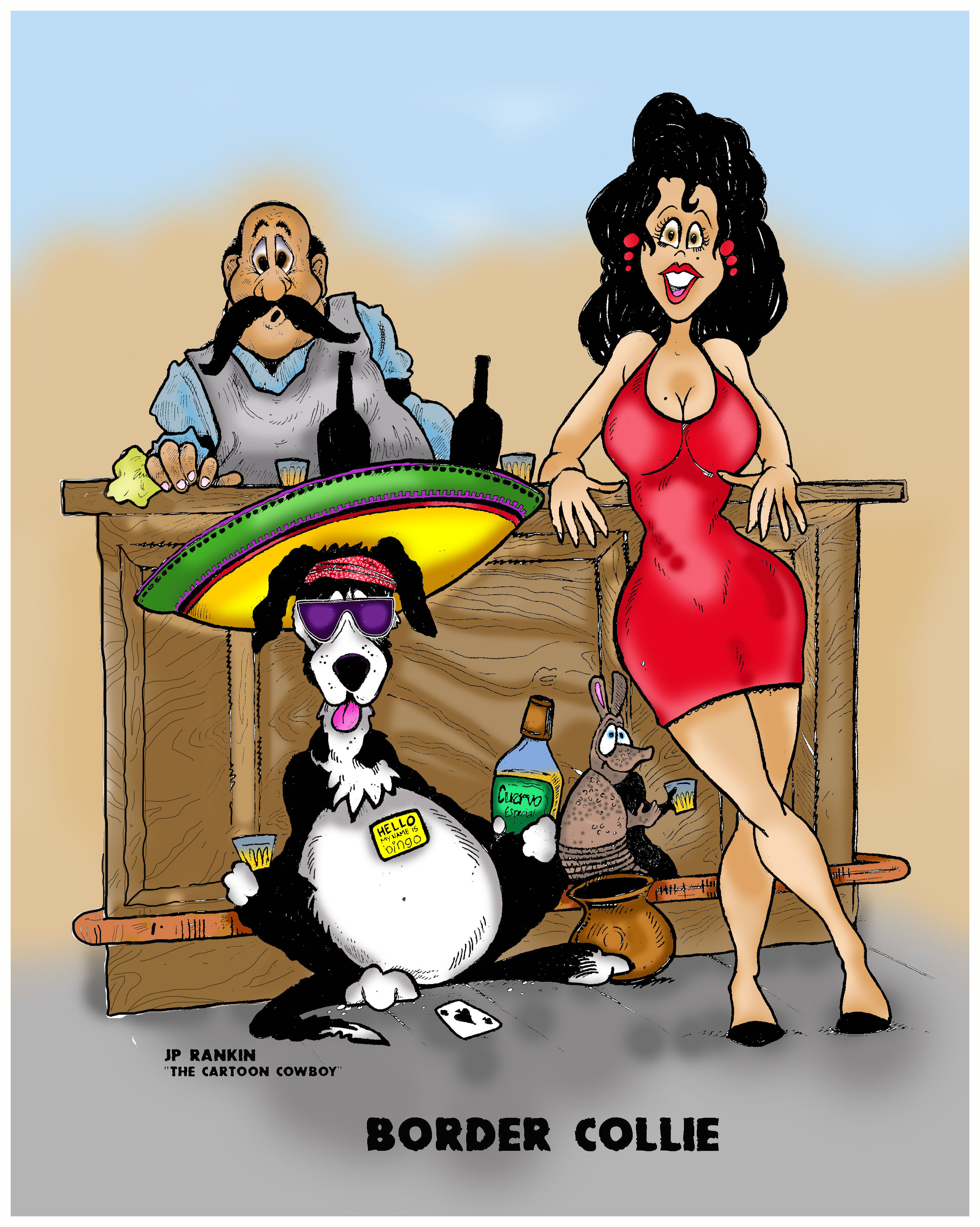 BORDER COLLIE - w - background - crop